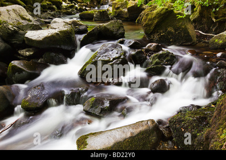 L'Aira Beck au-dessus des chutes d'eau, Haute Aira Force 'Ullswater Lake District' Cumbria England UK Banque D'Images