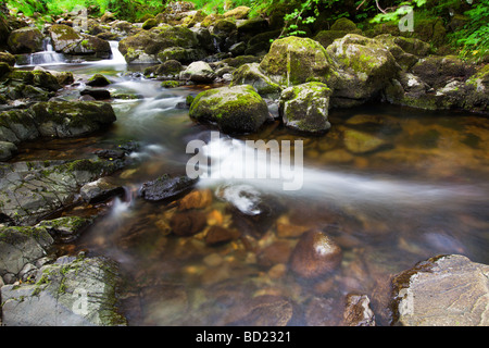 L'Aira Beck au-dessus des chutes d'eau, Haute Aira Force 'Ullswater Lake District' Cumbria England UK Banque D'Images