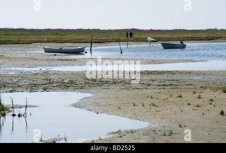 Seascape de Leaso, Danemark Banque D'Images