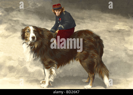 Monkey en uniforme Circonscription Colley Chien Banque D'Images