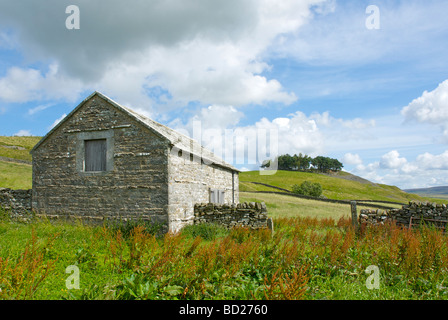 Kirkcarrion tumulus, Middleton-in-Teesdale, County Durham, England UK Banque D'Images