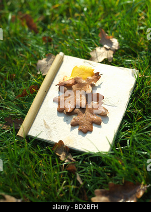 Les feuilles d'automne et d'ordinateurs portables sur l'herbe Banque D'Images