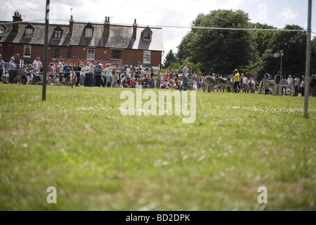 Donkey derby,vieil anglais pratique d'été traditionnels des petites villes et villages autour de l'uk,datant de plus de cent années Banque D'Images