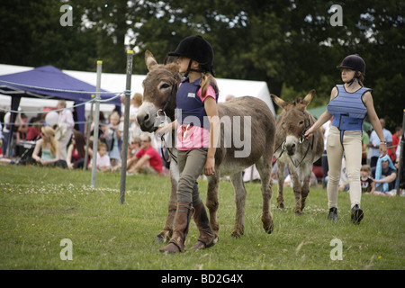 Donkey derby,vieil anglais pratique d'été traditionnels des petites villes et villages autour de l'uk,datant de plus de cent années Banque D'Images