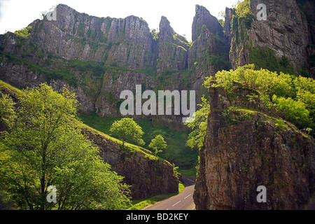 Les imposantes falaises de calcaire dans les gorges de Cheddar, Somerset, England, UK Banque D'Images