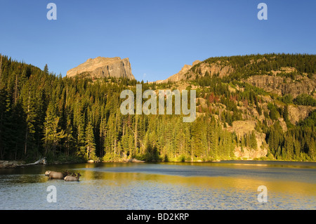 Lac de l'Ours et le Cerf Wapiti Hallet Peak Rocky Mountain National Park Estes Park, Colorado USA Banque D'Images