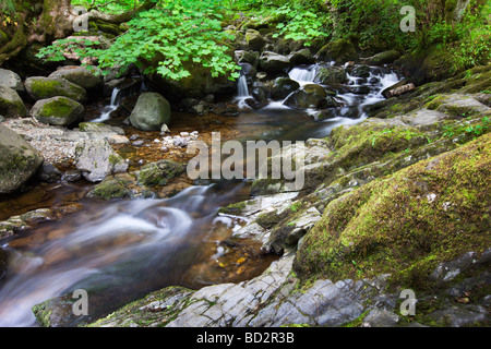 L'Aira Beck au-dessus des chutes d'eau, Haute Aira Force 'Ullswater Lake District' Cumbria England UK Banque D'Images