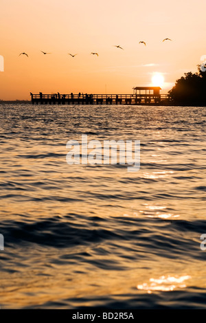 Lever du soleil à l'île de Sanibel quai de pêche avec des pélicans survolant - Sanibel Island, Floride Banque D'Images