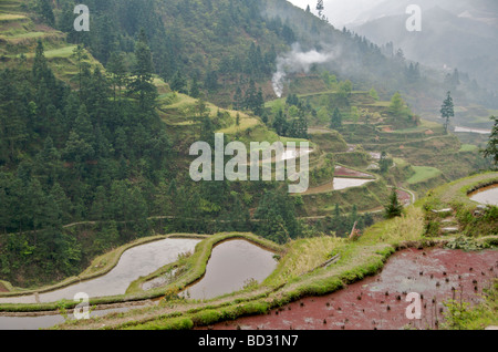 La province de Guizhou, Chine rizières en terrasses Banque D'Images
