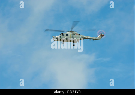 Meeting aérien de Fairford Dimanche 2009 Westland Lynx HMA8, 815 Naval Air Squadron, Yeovilton Banque D'Images