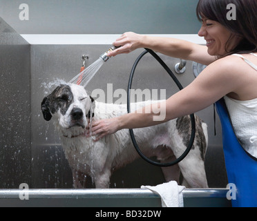 Bain Femme chien, laughing Banque D'Images