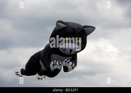 Cerf-volant chat géant avec un ciel nuageux Banque D'Images