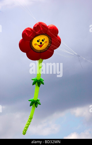 Fleur géant cerf-volant avec un ciel nuageux Banque D'Images