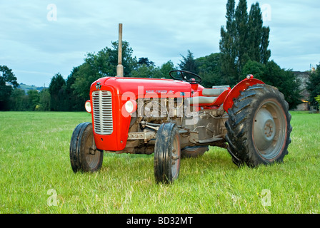 Massey Ferguson rouge rénové 35 tracteur avec prises au crépuscule dans la zone Banque D'Images