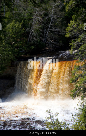 La région de Tahquamenon Falls sur la rivière Tahquamenon dans l'est de la péninsule du Michigan USA Banque D'Images