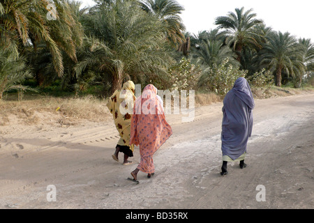 Nubie soudan el kurru walking Banque D'Images