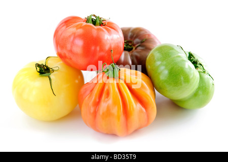 Multi colored heirloom tomatoes isolé sur fond blanc Banque D'Images