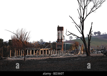 Bush australien Australian bush,les dommages causés par l'incendie après l'incendie,poster australian bush fire, Banque D'Images