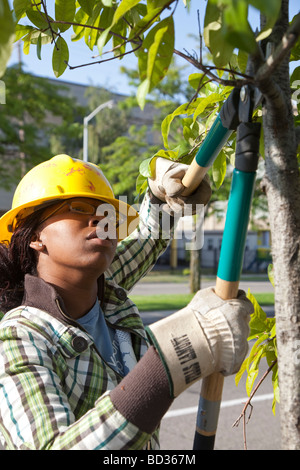 Conservation d'été Programme d'emploi pour les jeunes du secondaire à Detroit Banque D'Images