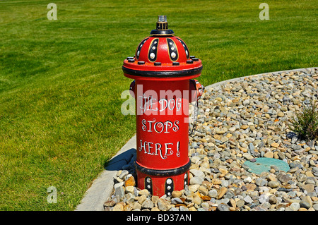 Une bouche d'incendie rouge Banque D'Images