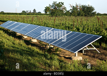 Panneaux solaires en exploitation viticole. Banque D'Images