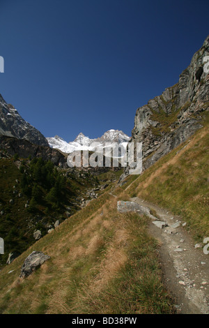 Vue panoramique de l'Obergabelhorn et Wellenkuppe Zermatt Suisse Valis Banque D'Images