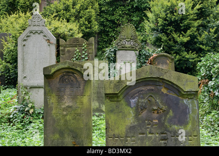 Pierres tombales au cimetière juif de Wrocław région Basse Silésie Pologne Banque D'Images