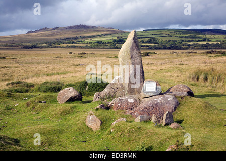 Pierre bleue moderne seule pierre mégalithe, près de Mynachlogddu amenée,,, Pembrokeshire, Pays de Galles Banque D'Images