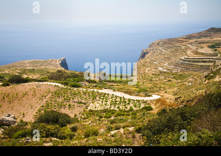 Les falaises de Dingli à Malte, de l'Union européenne. Banque D'Images