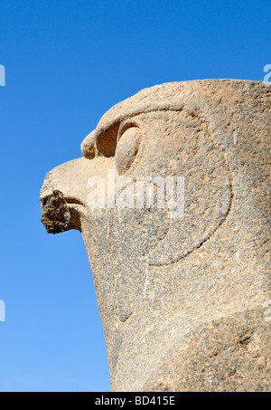 Statue de pèlerin dirigé dieu Horus à Edfou Temple culte ptolémaïque de l'Egypte Banque D'Images