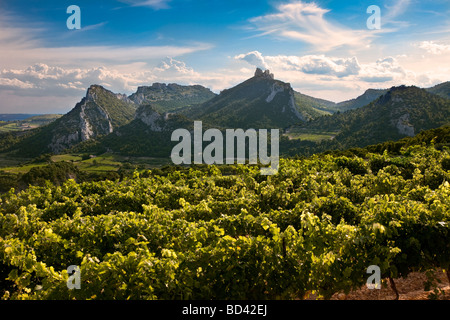 Soirée dans les Dentelles de Montmirail De Suzette, Provence France Banque D'Images