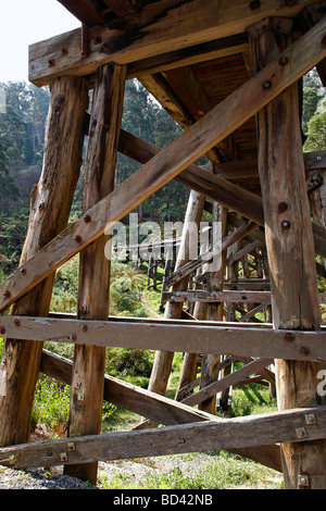 Puffing Billy Railway Trestle Bridge construit en 1899 Le Dandenong Australie Victoria Banque D'Images