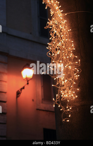 Fairy lights étendus dehors la nuit Banque D'Images