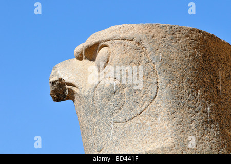 Statue de pèlerin dirigé dieu Horus à Edfou Temple culte ptolémaïque de l'Egypte Banque D'Images