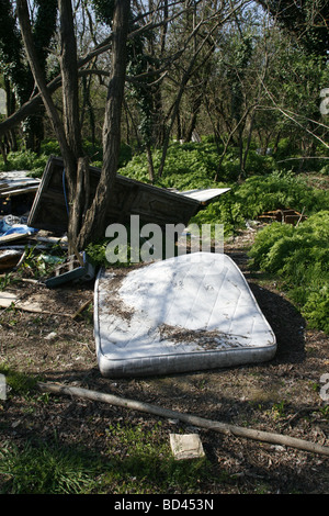 Camp d'immigrants dans la région de woods démoli à rome Banque D'Images