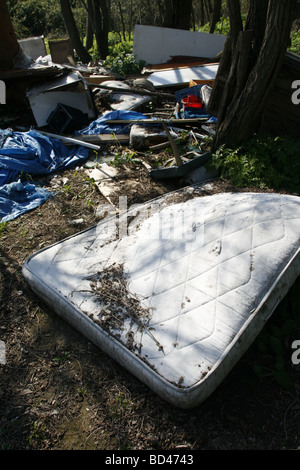 Camp d'immigrants dans la région de woods démoli à rome Banque D'Images