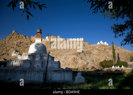 Chorten à côté de palais Shey & Monastère en route Leh. Ladakh. Jammu-et-Cachemire. Banque D'Images