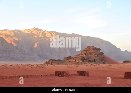 Lawrence au printemps dans la vallée de Wadi Rum Jordanie Banque D'Images