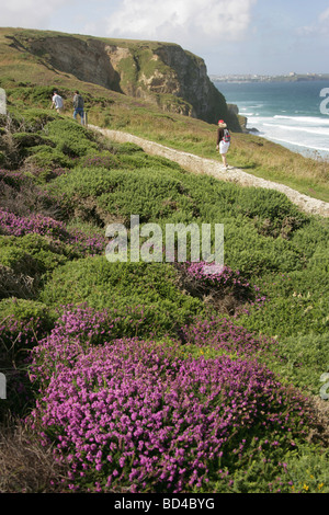 Domaine de la baie de Watergate, en Angleterre. Vue panoramique sur la côte de Cornouailles entre Baie de Watergate et Newquay. Banque D'Images