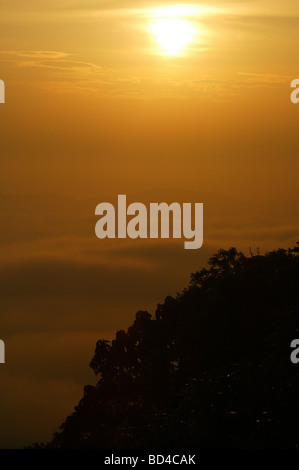 Beau lever de soleil dans la forêt vierge, vu de Cerro Pirre dans le parc national de Darien, province de Darien, République du Panama, Amérique centrale. Banque D'Images