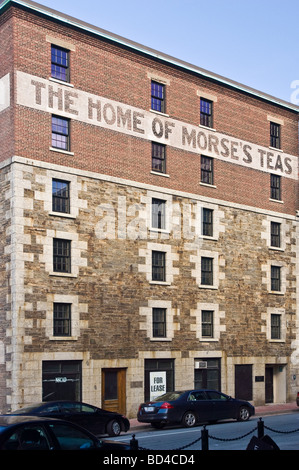 Thés du morse dans la construction des édifices historiques de la Nouvelle-Écosse architecture restauration à Halifax, Nouvelle-Écosse, Canada Banque D'Images