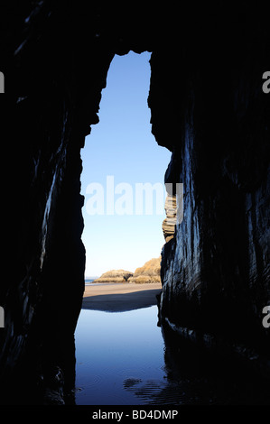 Entrée d'une grotte marine en Gwynedd, au nord du Pays de Galles, à marée basse. Banque D'Images