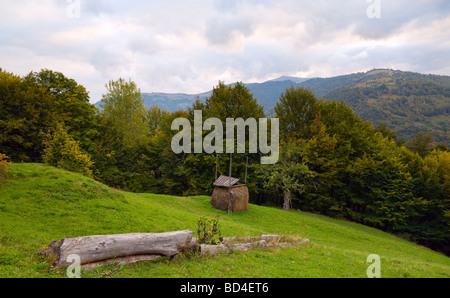 Soirée vert forêt montagneuse dans glade avec pile de hay (Bilyn, village de Mt des Carpates, l'Ukraine) Banque D'Images