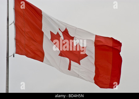 Grand drapeau canadien sur poteau ondulant au vent contre un ciel gris couvert. Symbole national du Canada, le drapeau de la feuille d'érable, flottant à l'extérieur. Banque D'Images