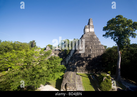 Les ruines mayas de Tikal, Guatemala Banque D'Images