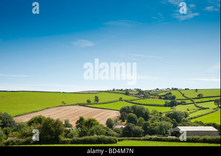 Neer paysage Cornish St Veep et Polruan Banque D'Images