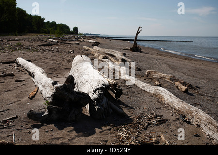 Plage polluée sur le parc du lac Erie Ohio aux États-Unis personne d'en haut vue de dessus faible angle spoil nature haute résolution Banque D'Images