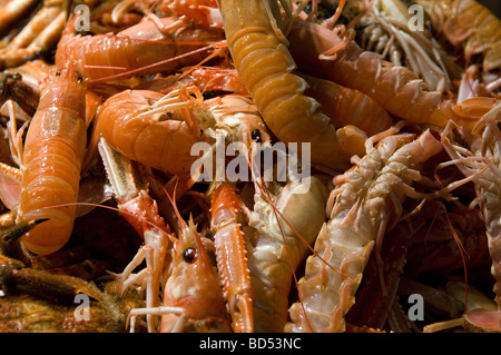 Marché de La Boqueria - également connu sous le nom de St Josep, Las Ramblas, Barcelone, le Catalan, l'Espagne, l'Union européenne ; Banque D'Images