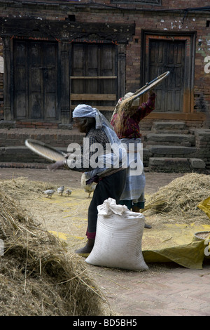 Deux femmes népalaises dans les ruelles de Bhaktapur tamiser céréales dans la manière traditionnelle Banque D'Images