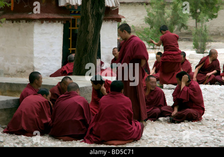 Les moines gelugpa de débattre dans la cour au monastère de Séra Banque D'Images